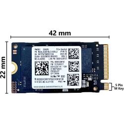 Ampliamento SSD da 256 Gb a 512 Gb M.2 2242